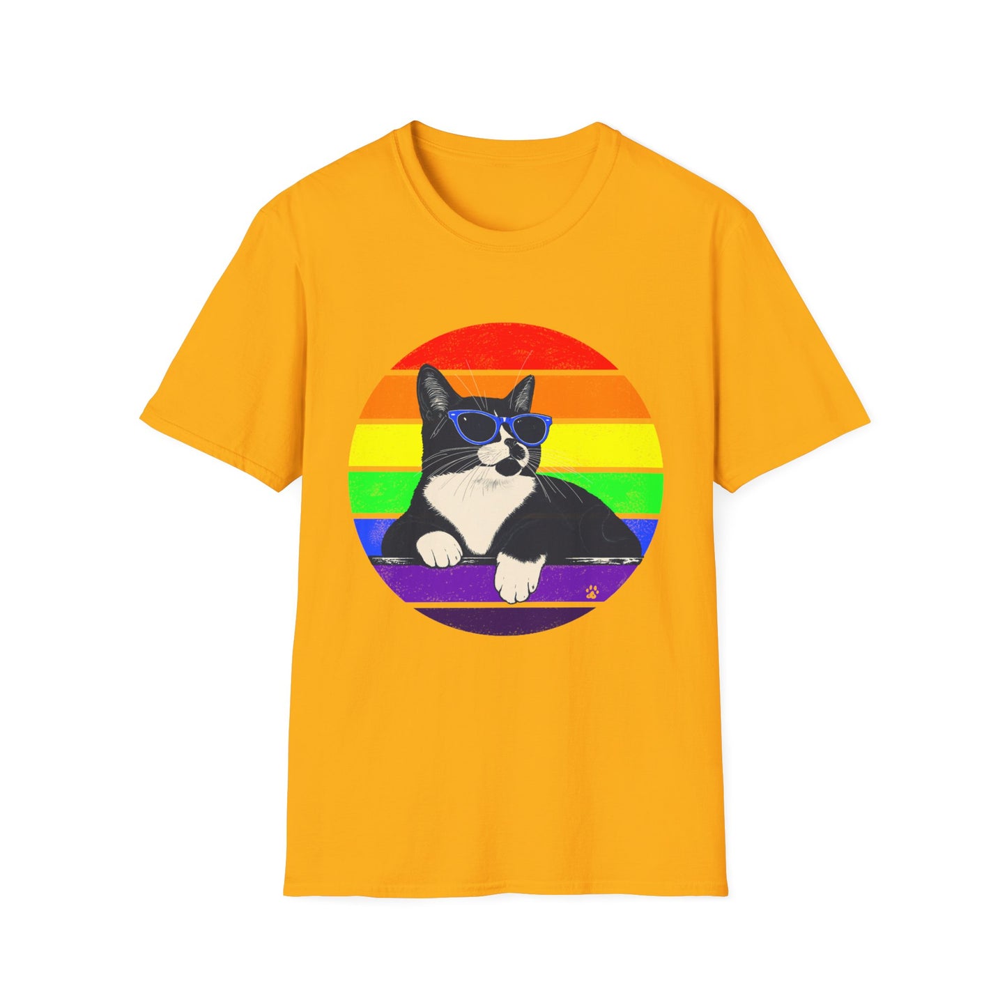 Rainbow Retro Graphic Charlie T-Shirt