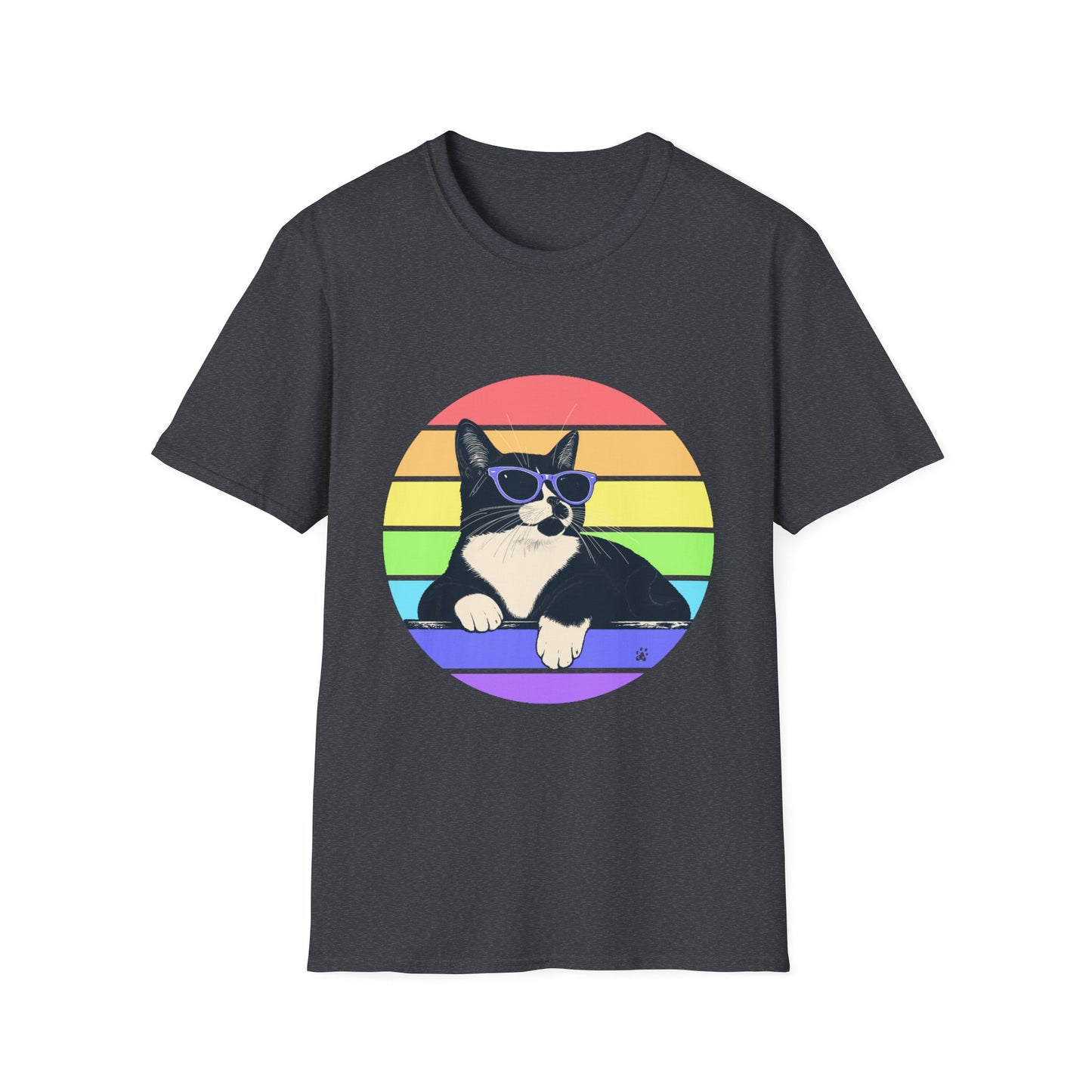 Charlie- Pastel Retro Rainbow T-shirt