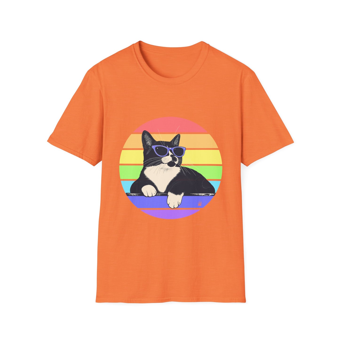 Charlie- Pastel Retro Rainbow T-shirt
