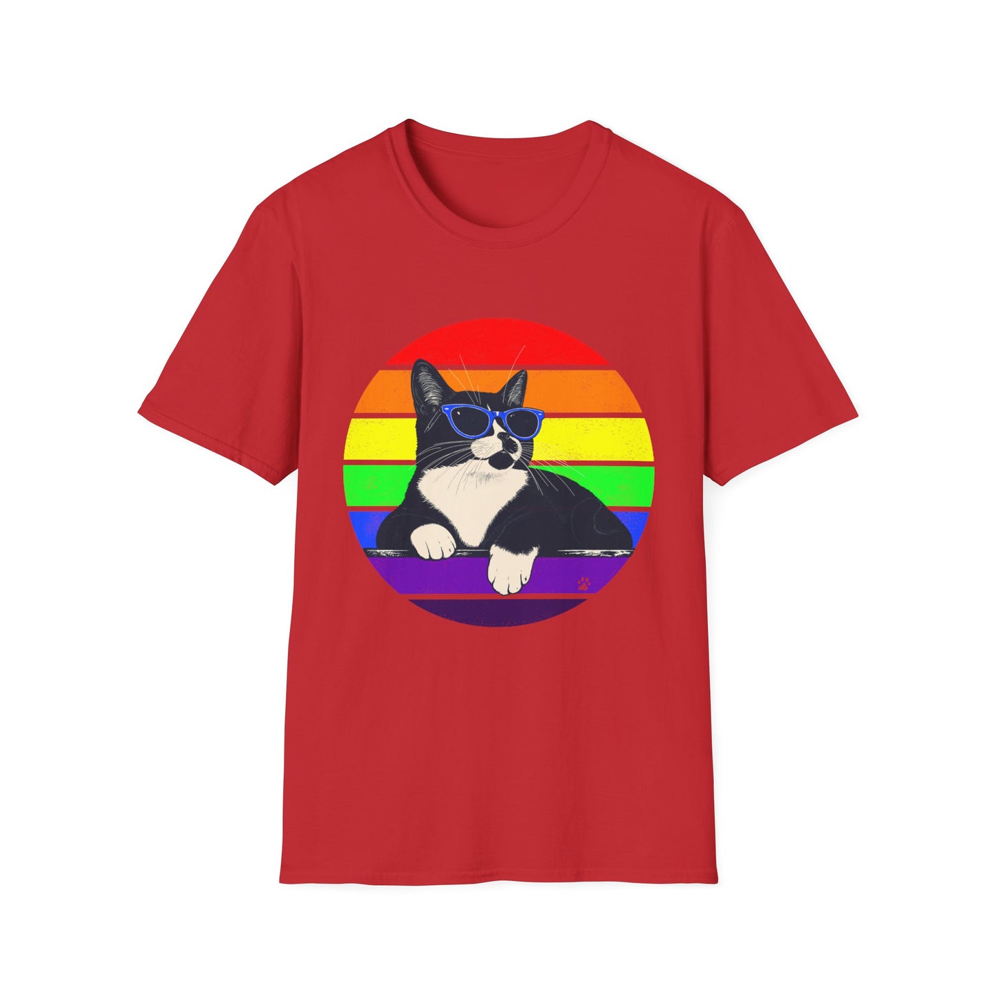 Rainbow Retro Graphic Charlie T-Shirt