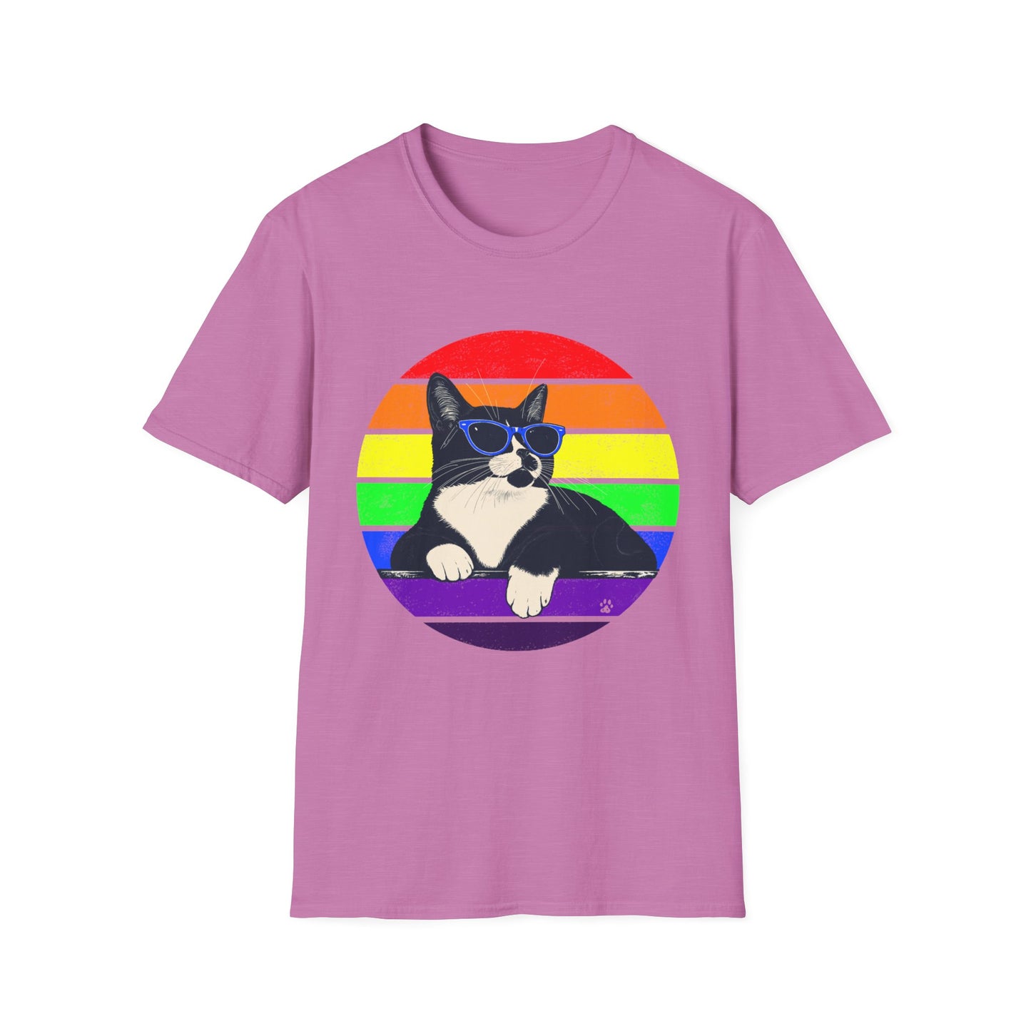 Rainbow Retro Graphic Charlie T-Shirt