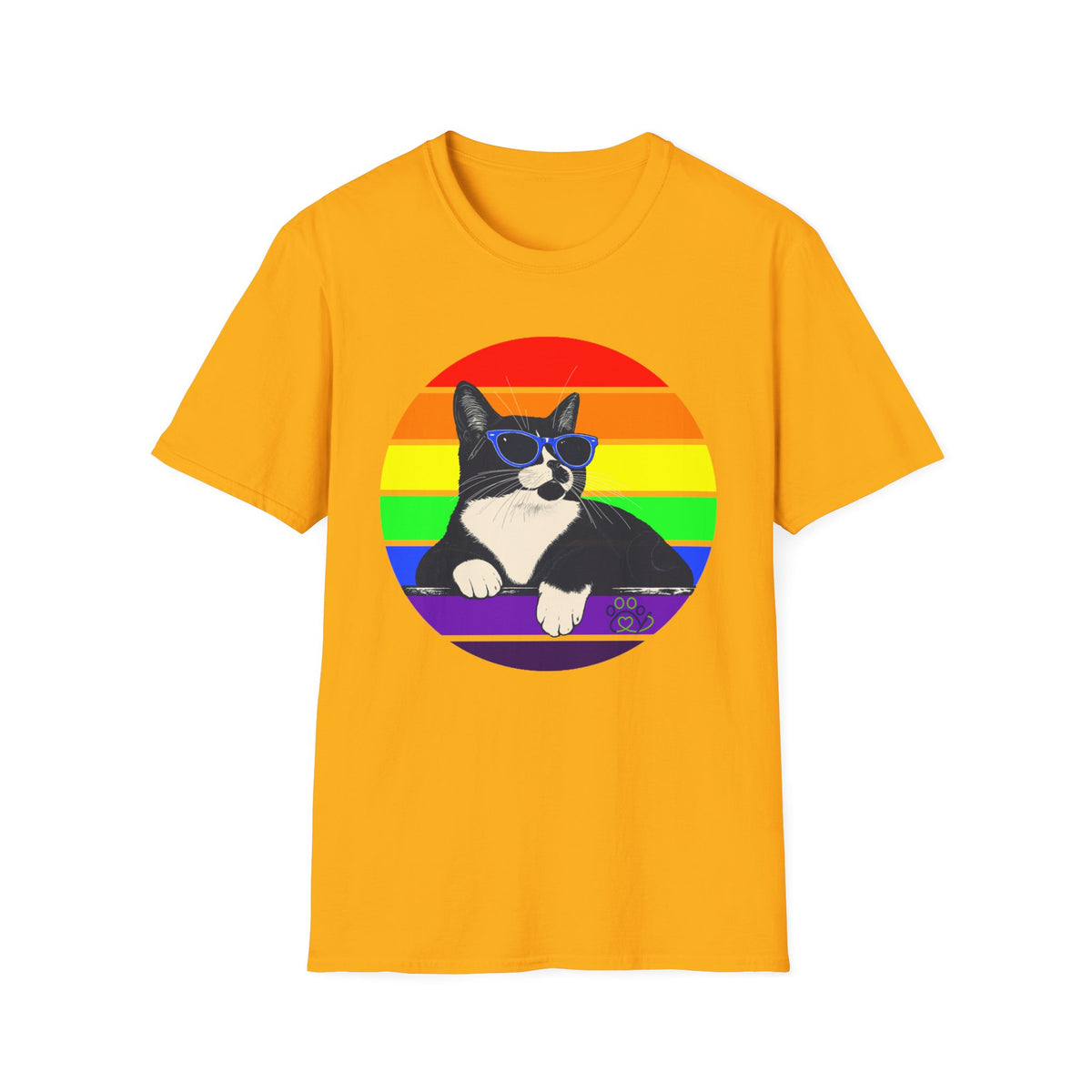 Rainbow Retro Graphic Charlie T-Shirt