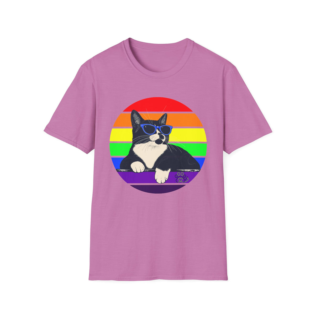 Rainbow Retro Graphic Charlie T-Shirt